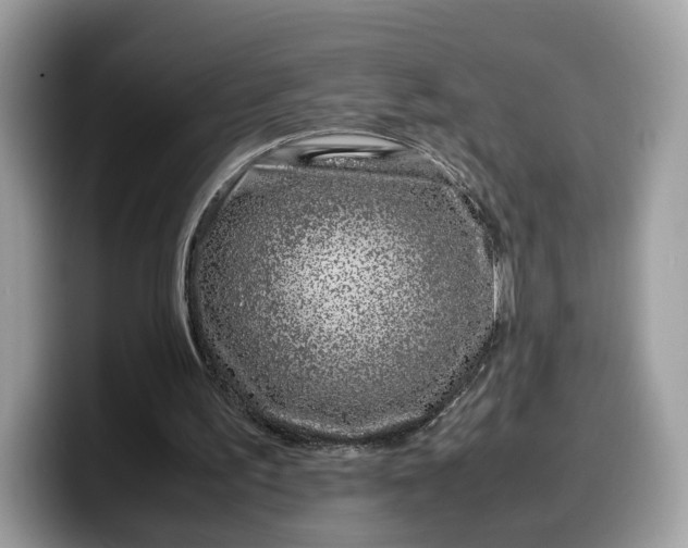X0000099570195200805301547