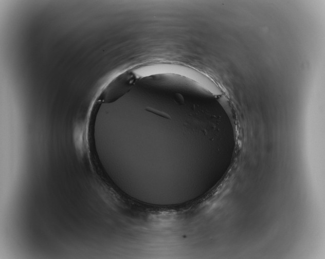 X0000099570196200805301547