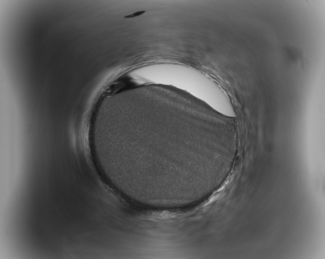 X0000099570197200805301547
