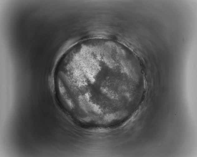 X0000099570198200805301547