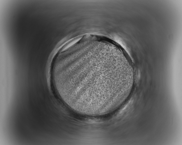 X0000099570199200805301547