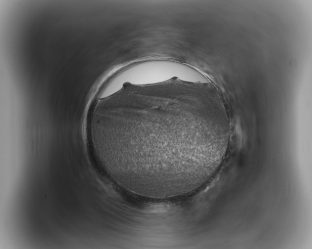X0000099570200200805301547