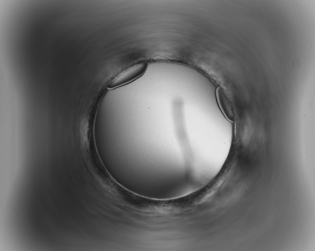 X0000099570201200805301547