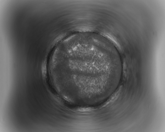 X0000099570202200805301547