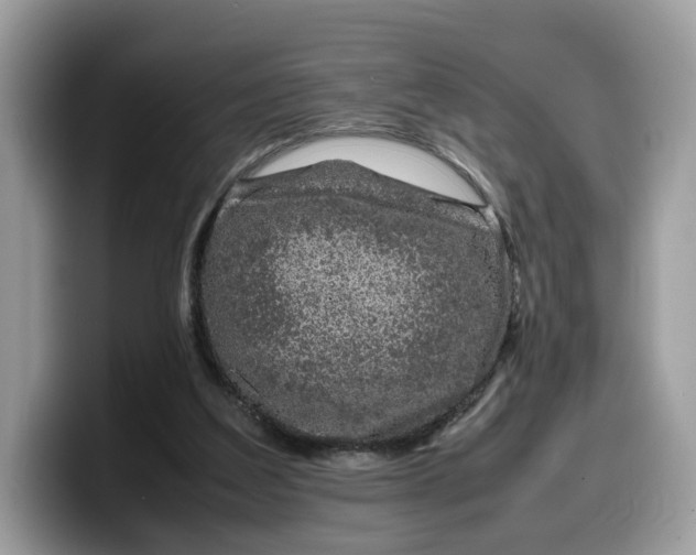 X0000099570203200805301547