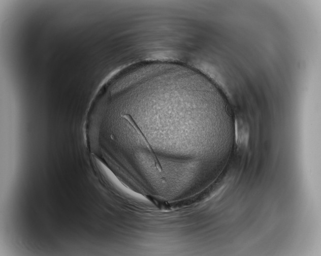 X0000099570204200805301547