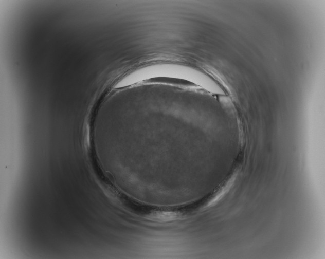 X0000099570205200805301547