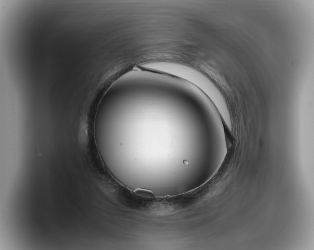 X0000099570207200805301547