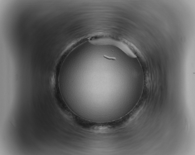 X0000099570208200805301547