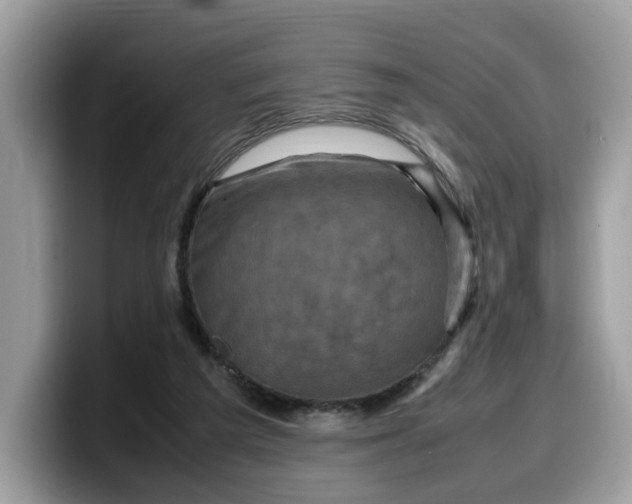 X0000099570209200805301547