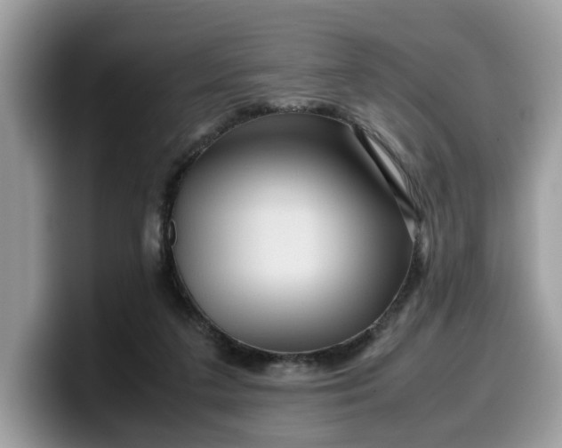 X0000099570211200805301547
