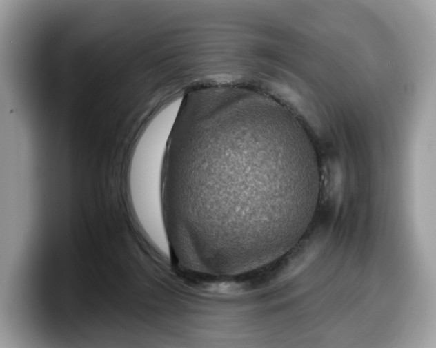X0000099570212200805301547