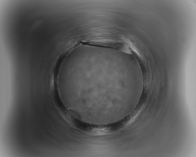 X0000099570213200805301547