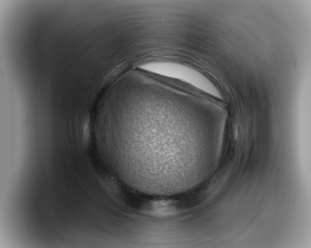X0000099570216200805301547