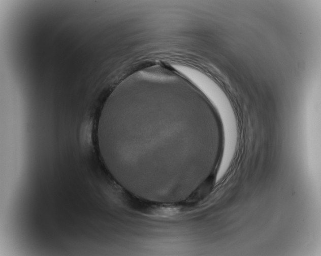 X0000099570217200805301547