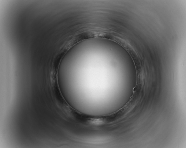 X0000099570218200805301547