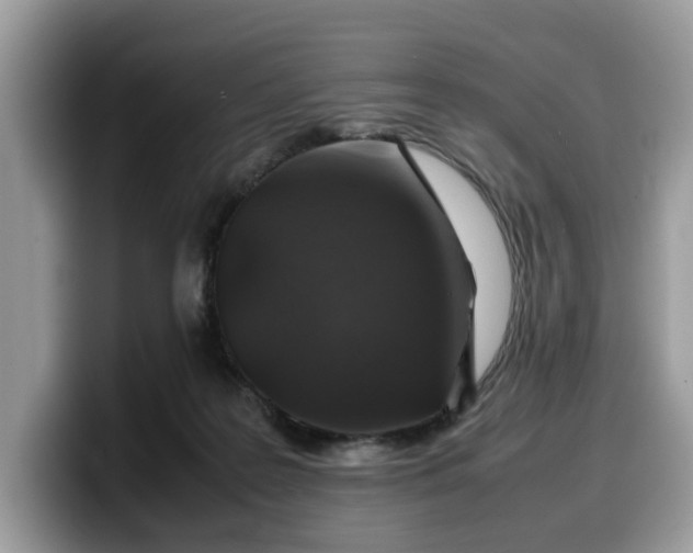 X0000099570219200805301547