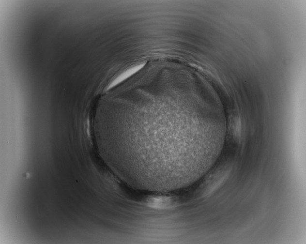 X0000099570220200805301547