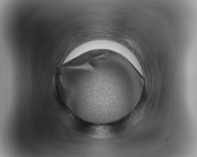 X0000099570221200805301547
