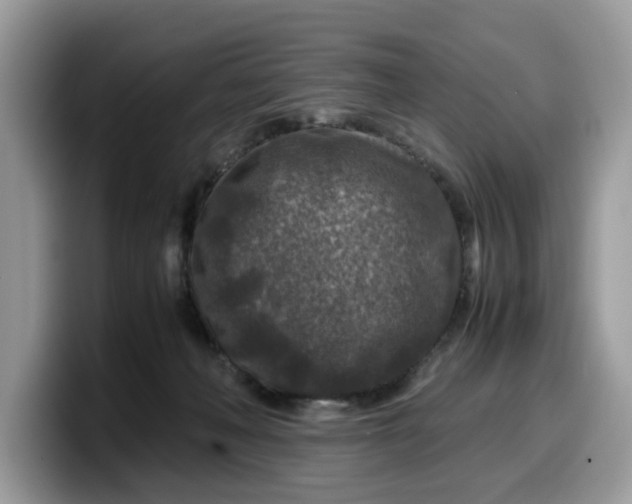 X0000099570222200805301547