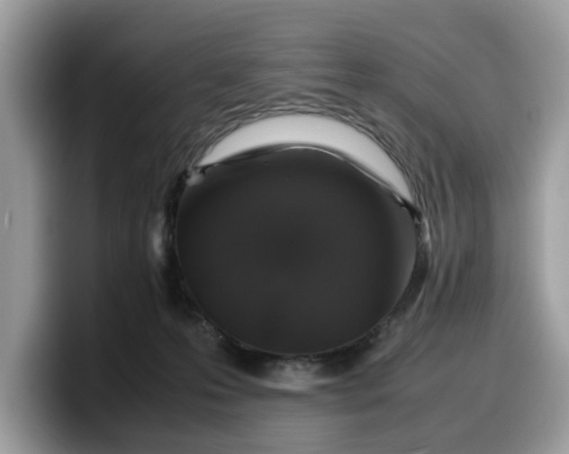X0000099570223200805301547