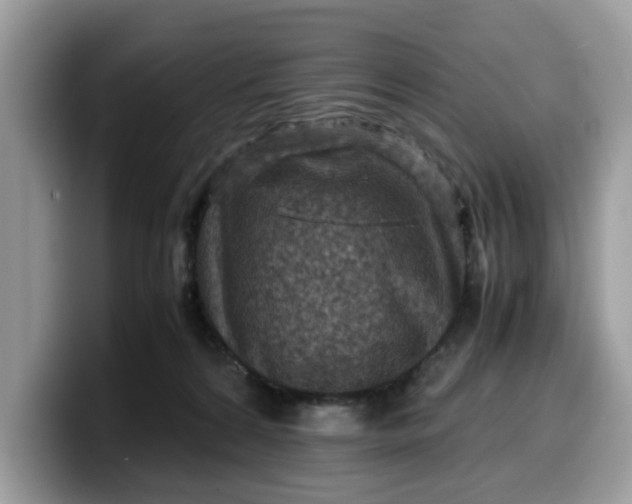 X0000099570224200805301547