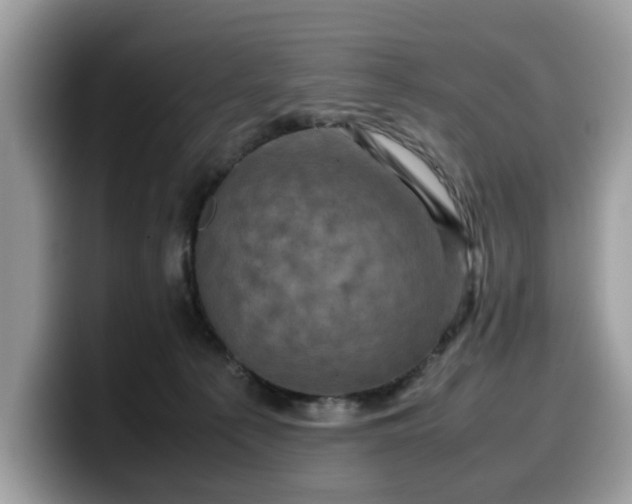 X0000099570225200805301547