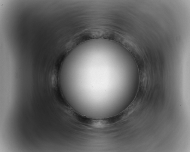 X0000099570226200805301547