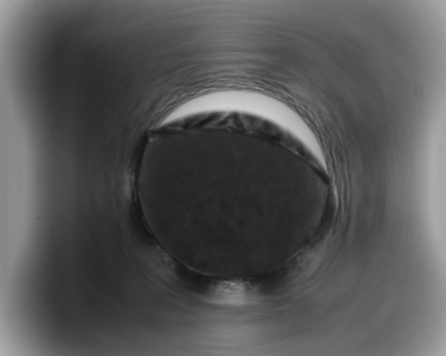 X0000099570227200805301547