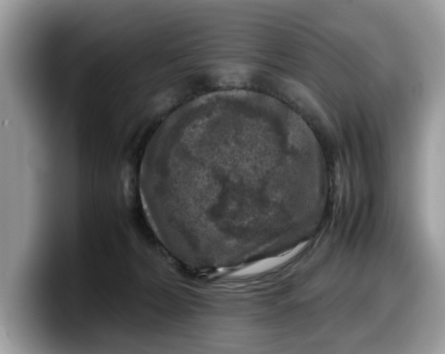X0000099570228200805301547