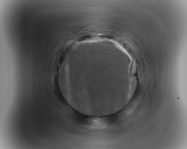 X0000099570229200805301546