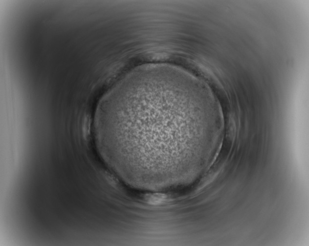 X0000099570230200805301546