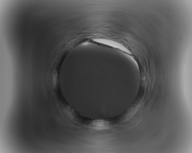 X0000099570231200805301546