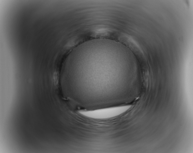 X0000099570232200805301546