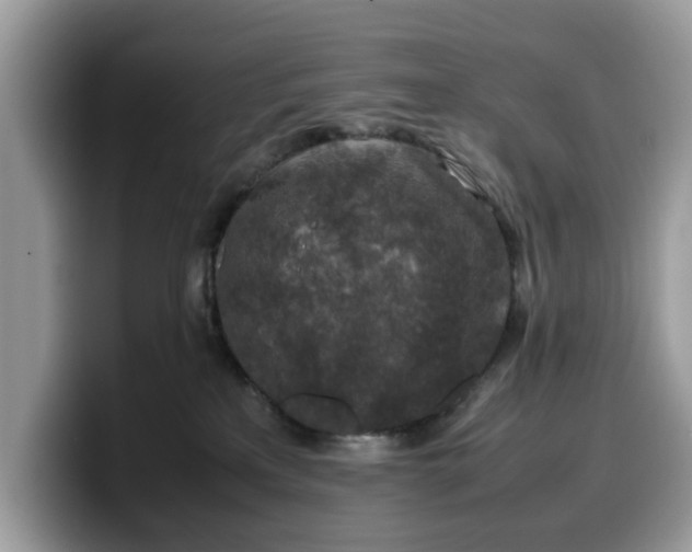 X0000099570233200805301546