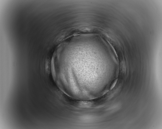 X0000099570234200805301546
