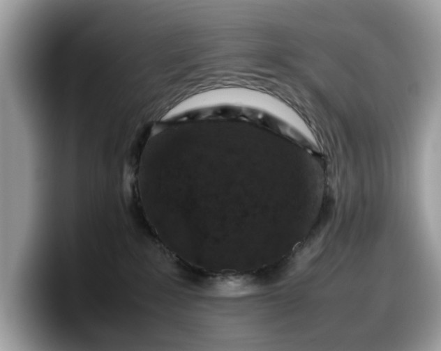 X0000099570235200805301546