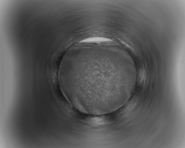 X0000099570236200805301546