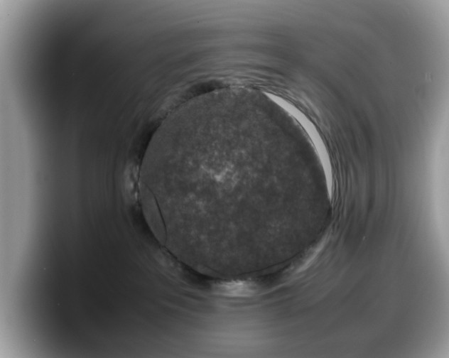 X0000099570237200805301546