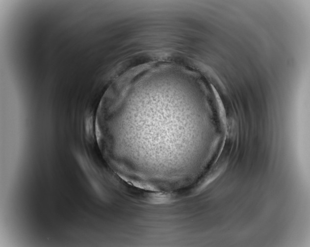 X0000099570238200805301546
