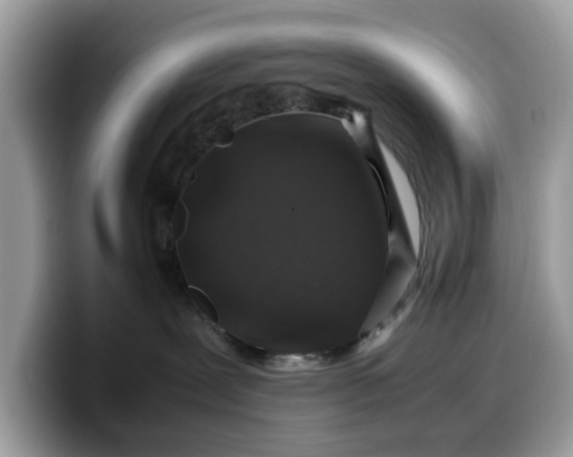 X0000099570239200805301546