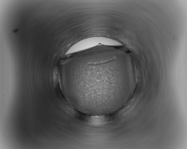X0000099570240200805301546