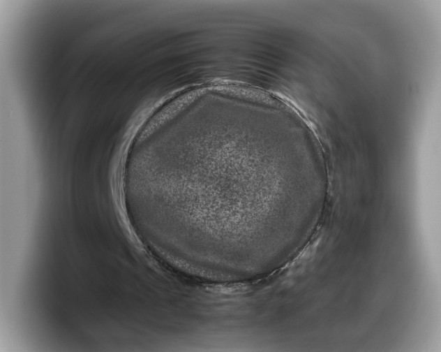 X0000099570241200805301546