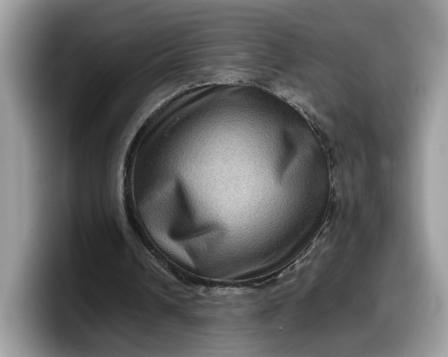 X0000099570242200805301546