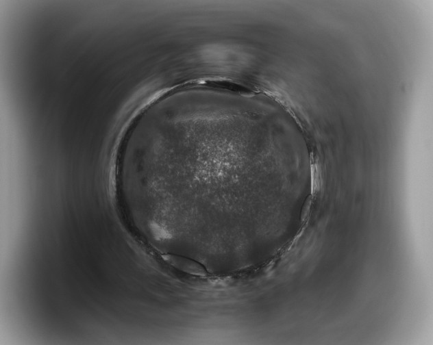 X0000099570243200805301546