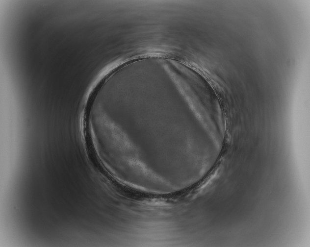 X0000099570244200805301546
