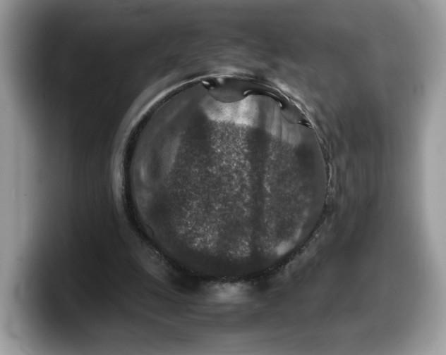X0000099570247200805301546