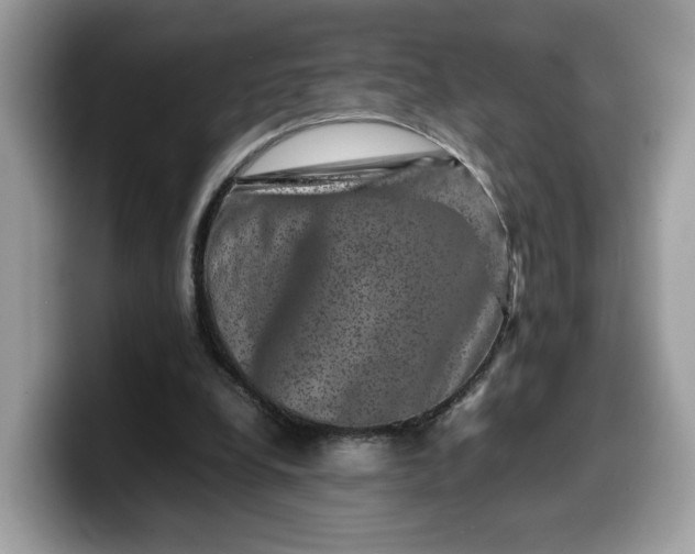 X0000099570248200805301546