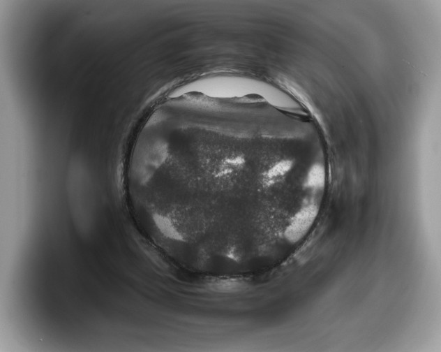 X0000099570249200805301546