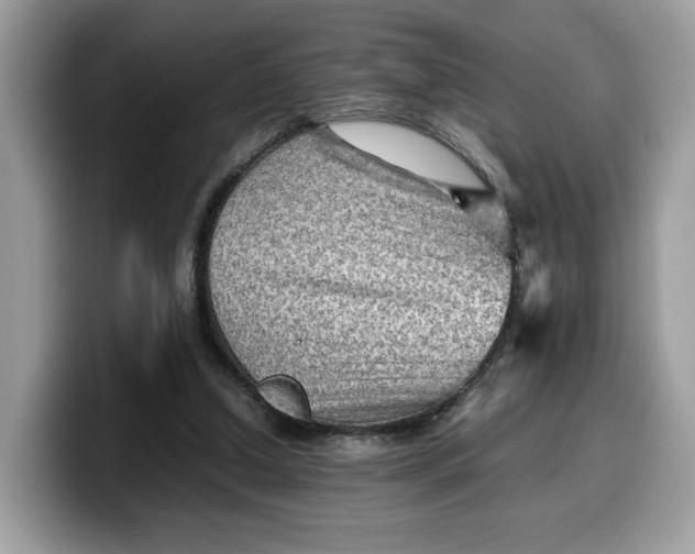 X0000099570250200805301546